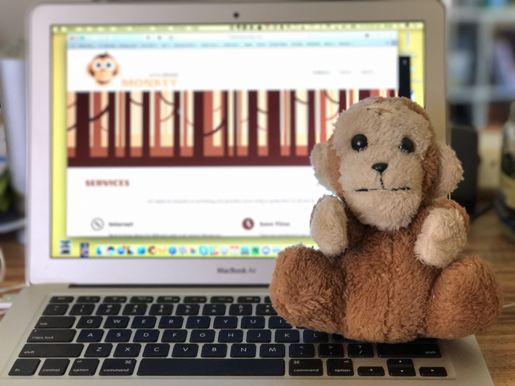 The original little brown monkey sitting on a laptop