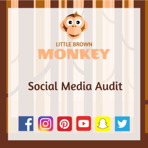 Social Media Audit