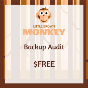 Backup Audit FREE